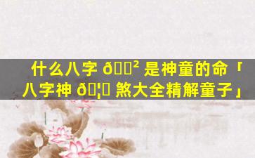 什么八字 🌲 是神童的命「八字神 🦍 煞大全精解童子」